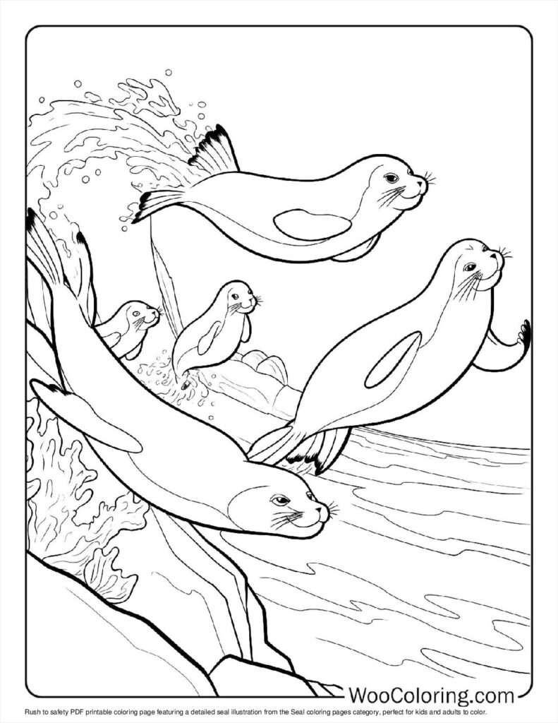 100  Seal coloring pages  Free PDF To Print  - 15