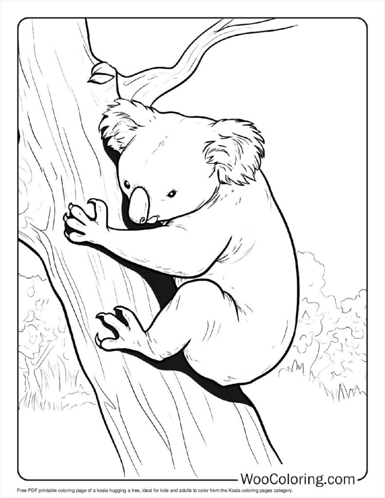 100  Koala coloring pages  Free PDF To Print  - 89