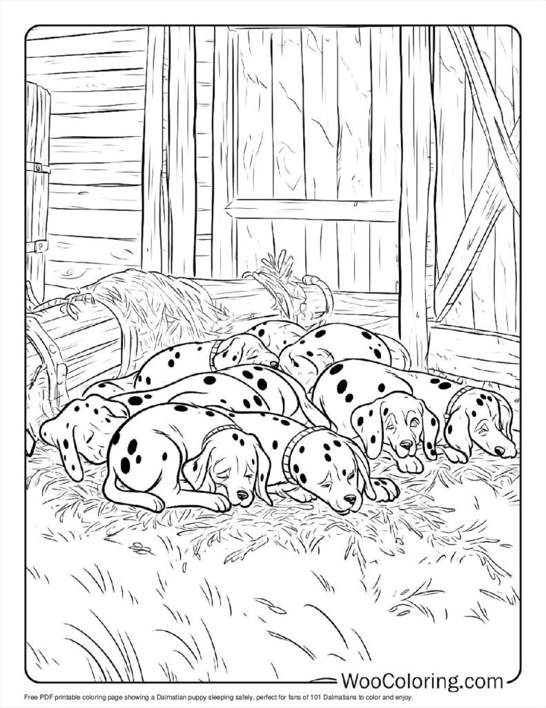 Safe Sleep for Dalmatians For Kids