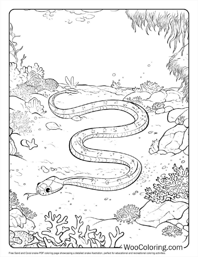 Sand and coral snake
