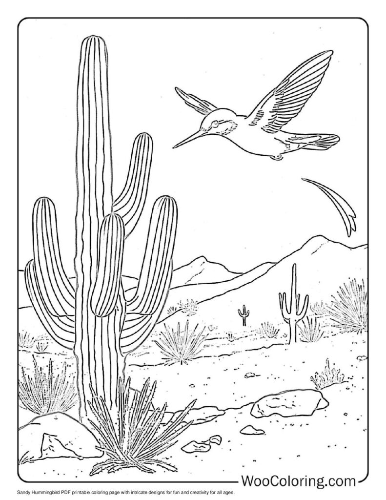 100 Hummingbird coloring pages Free PDF To Print - 32