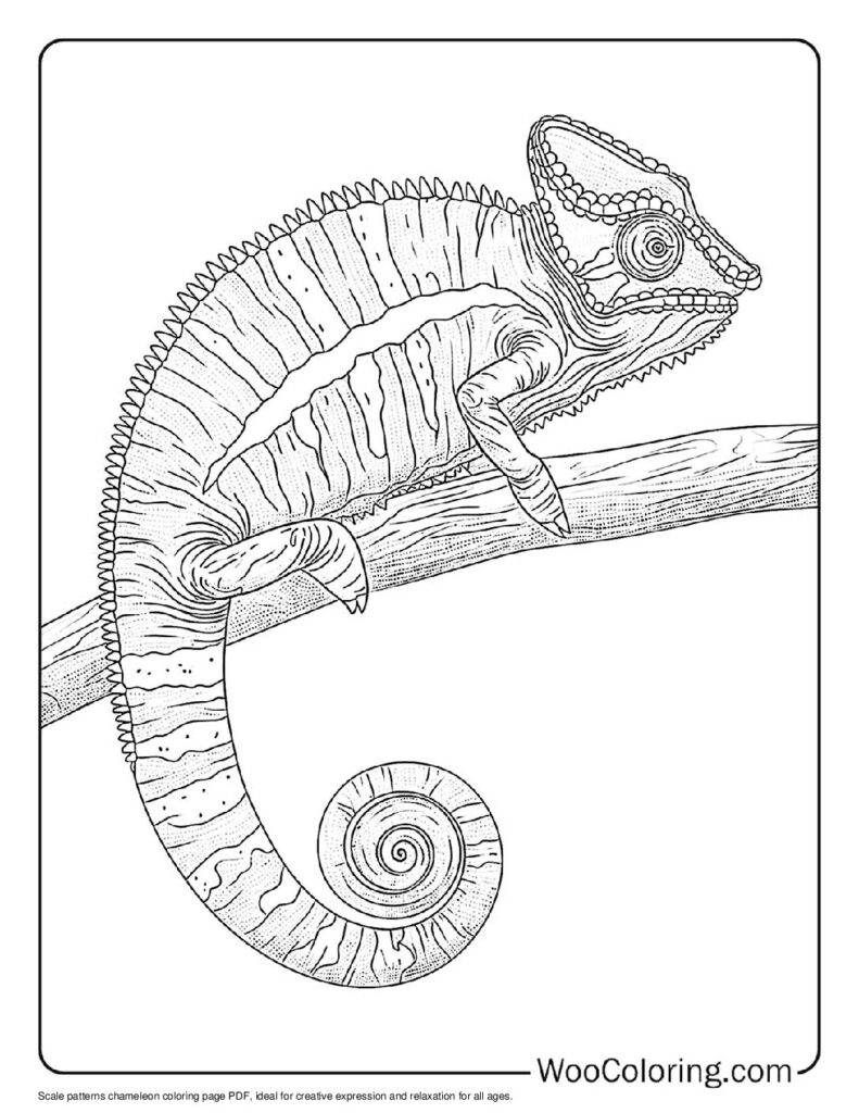 100  Chameleon coloring pages  Free PDF To Print  - 30