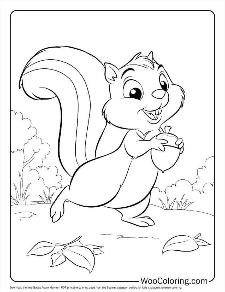 100  Squirrel coloring pages  Free PDF To Print  - 89
