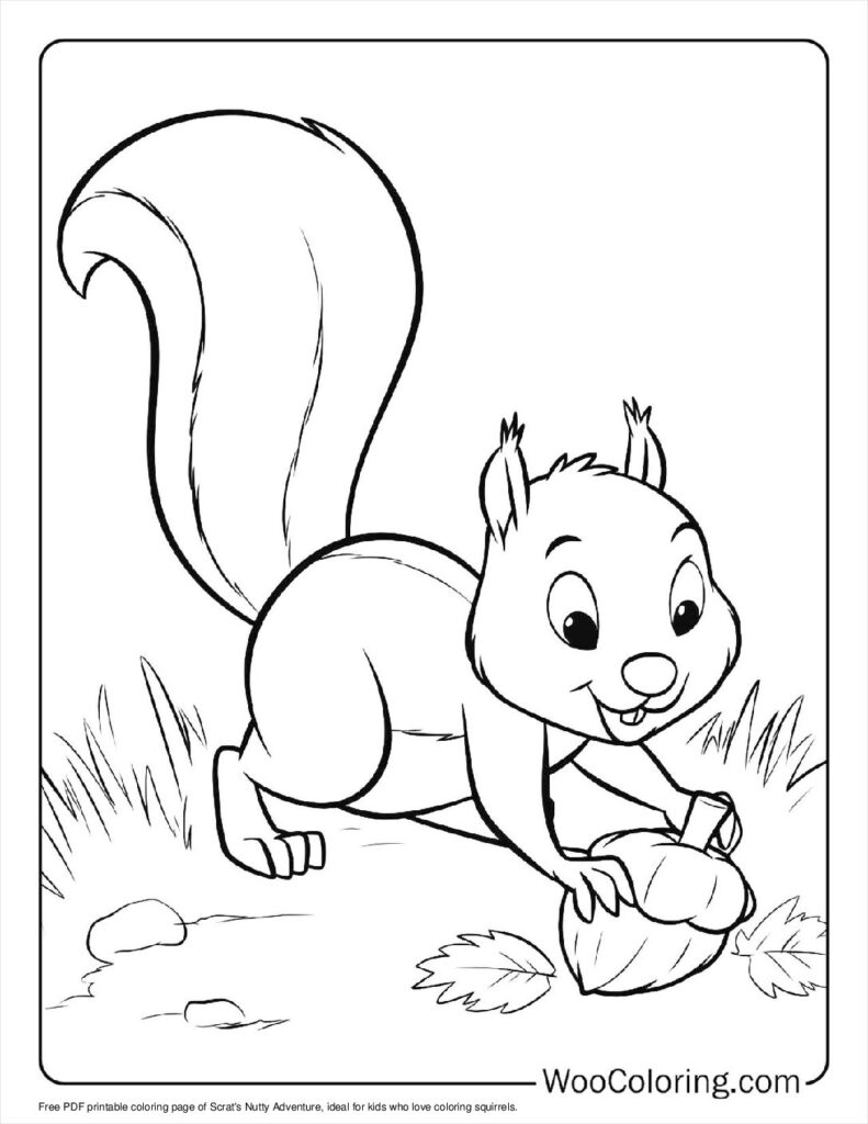 100  Squirrel coloring pages  Free PDF To Print  - 18