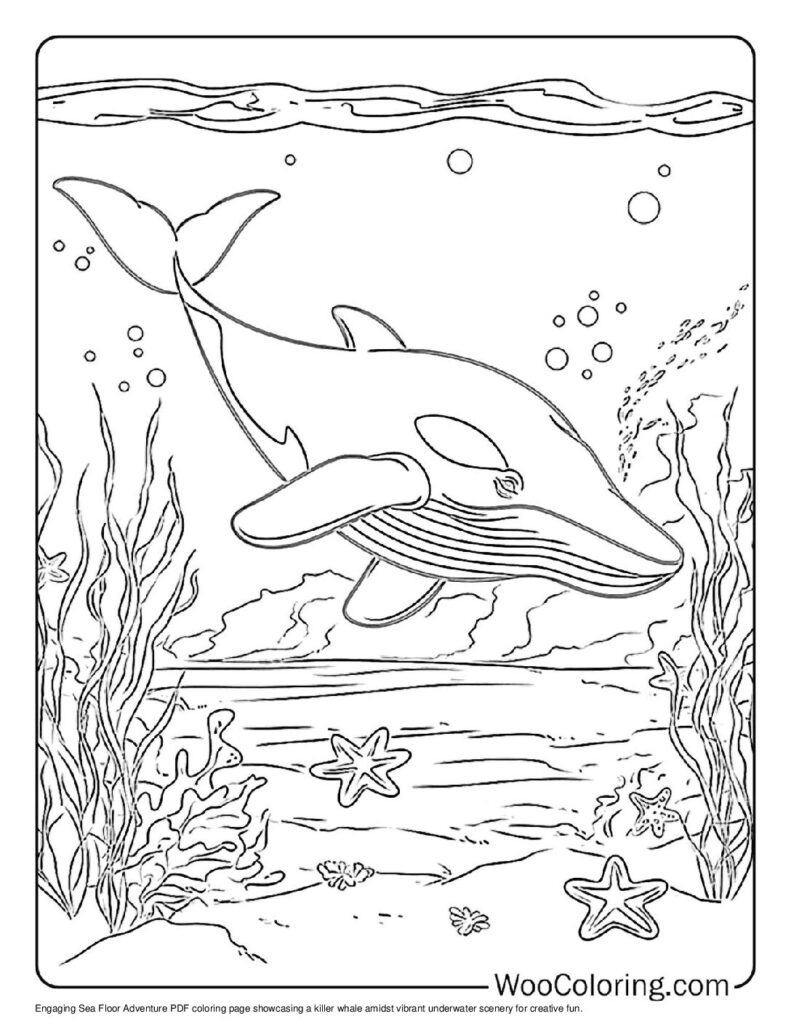 100  Killer Whale coloring pages  Free PDF To Print  - 5