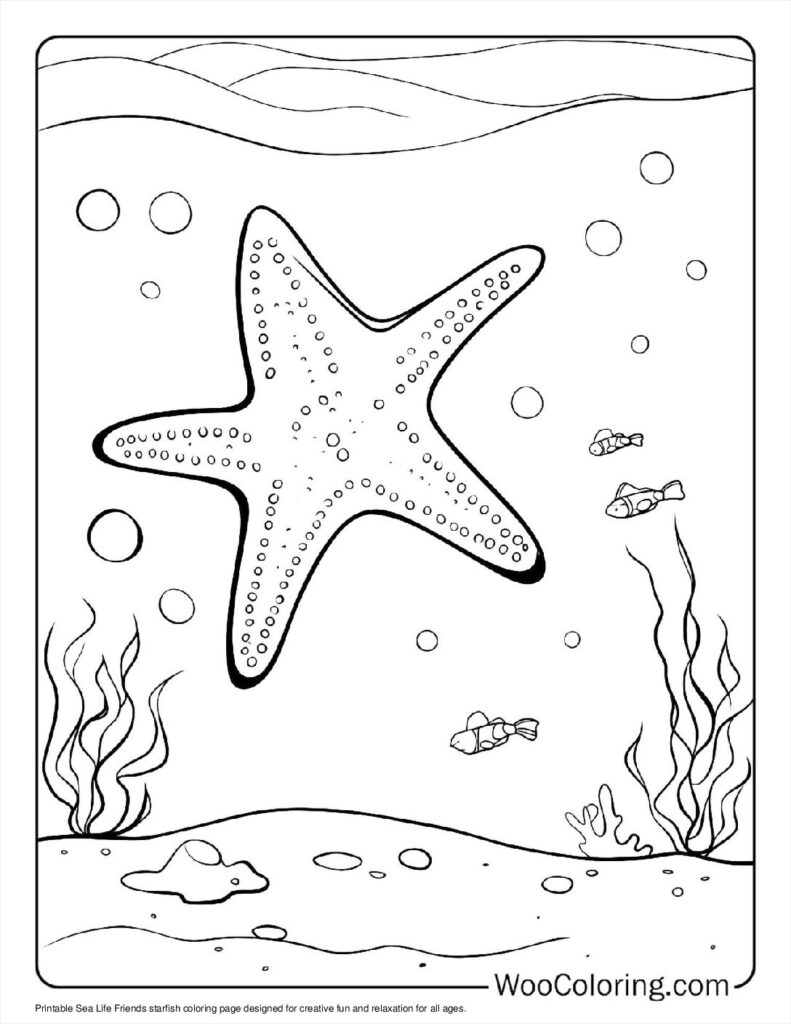 100  Starfish coloring pages  Free PDF To Print  - 77