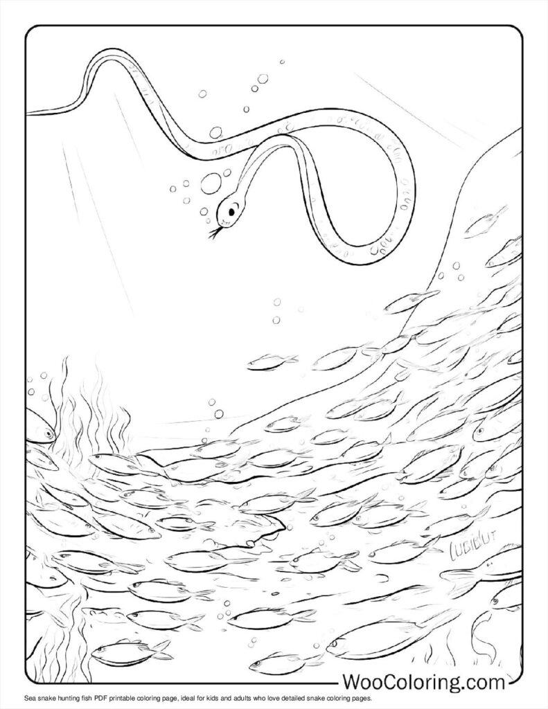Sea snake hunting fish To Color
