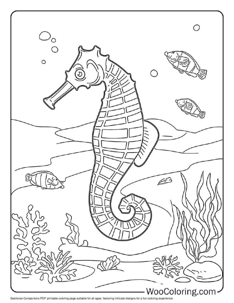 100  Seahorse coloring pages  Free PDF To Print  - 81