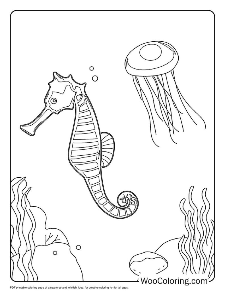 100  Seahorse coloring pages  Free PDF To Print  - 24