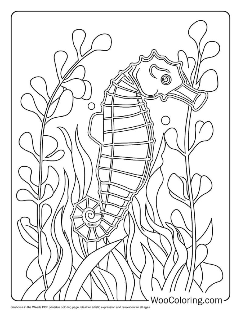 100  Seahorse coloring pages  Free PDF To Print  - 60
