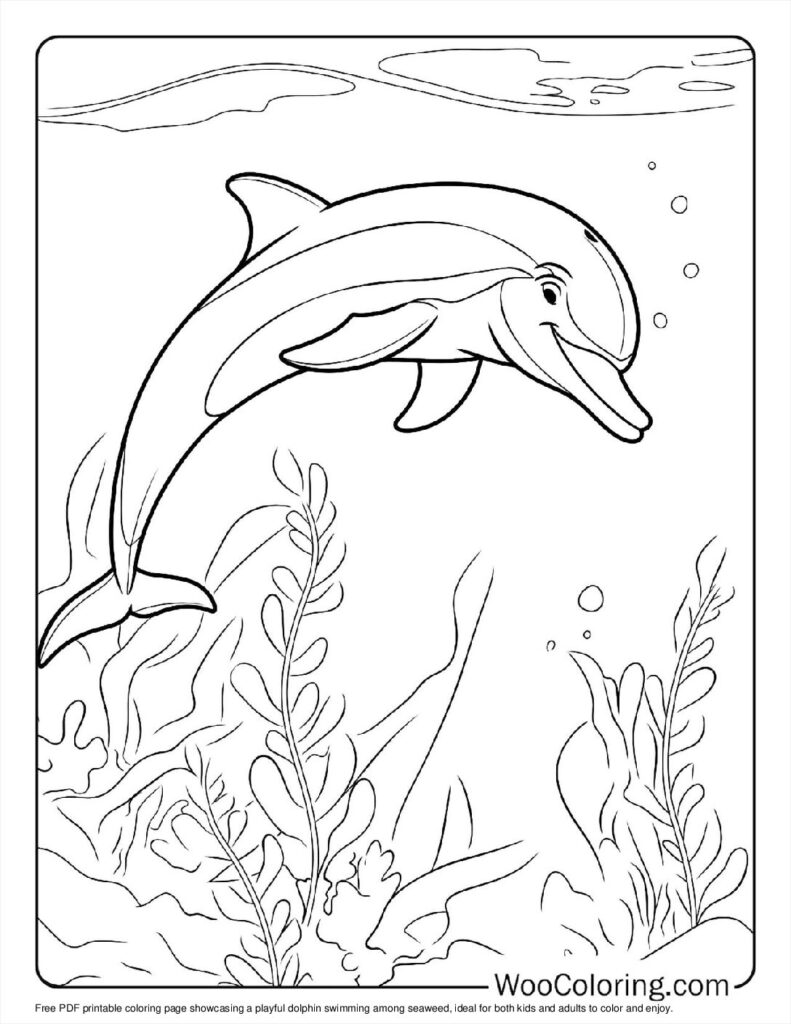 100  Dolphin coloring pages  Free PDF To Print  - 19