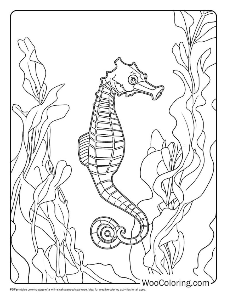 100  Seahorse coloring pages  Free PDF To Print  - 13