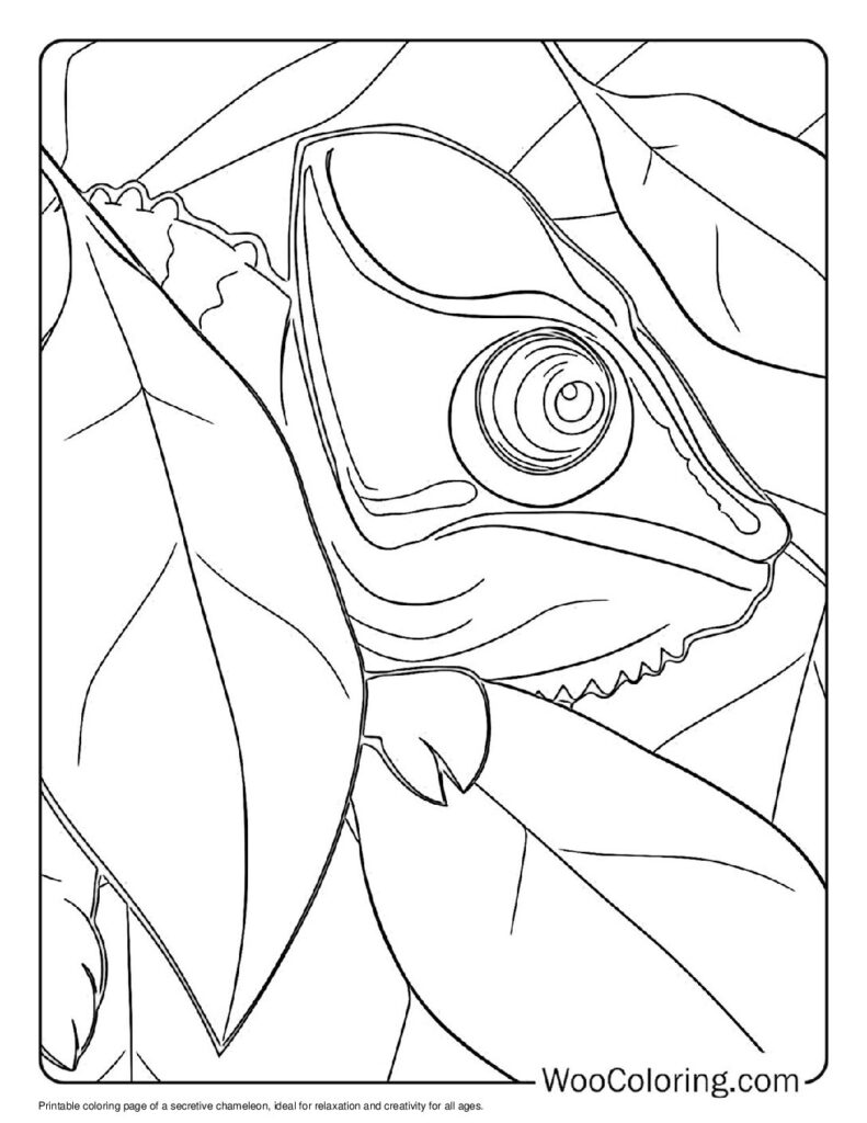 100  Chameleon coloring pages  Free PDF To Print  - 3