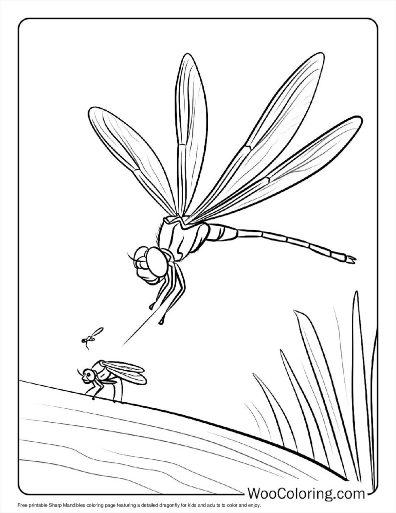 100  Dragonfly coloring pages  Free PDF To Print  - 17