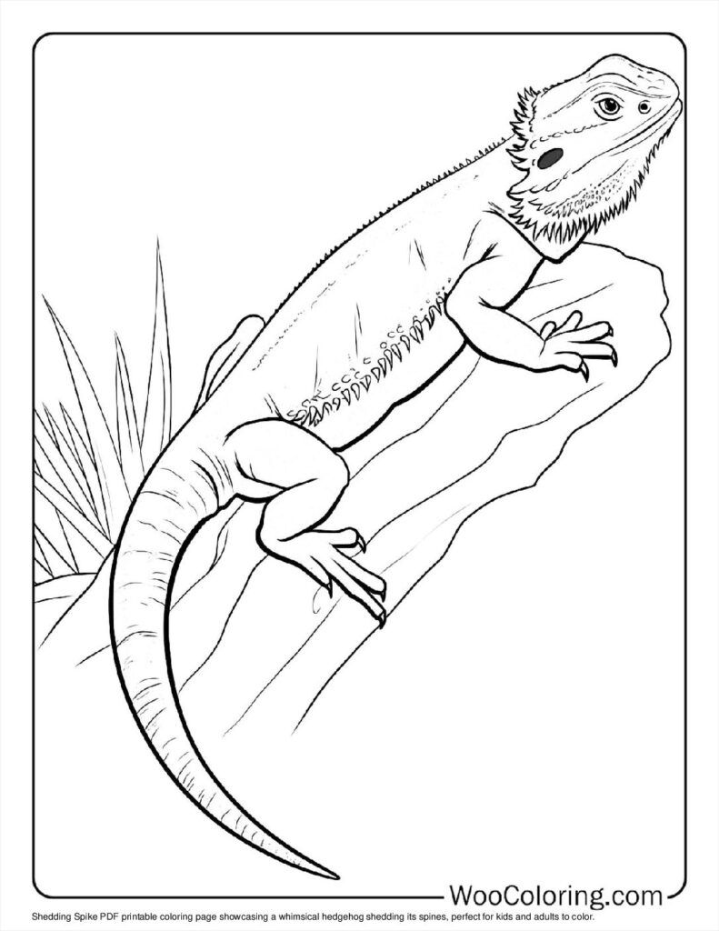 Shedding Spike