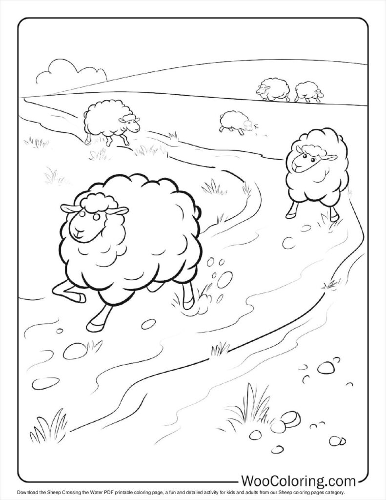 Sheep Crossing the Water To Color