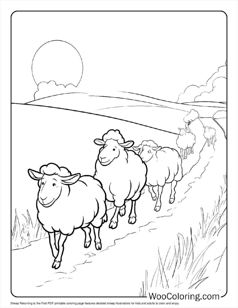 Sheep Returning to the Fold