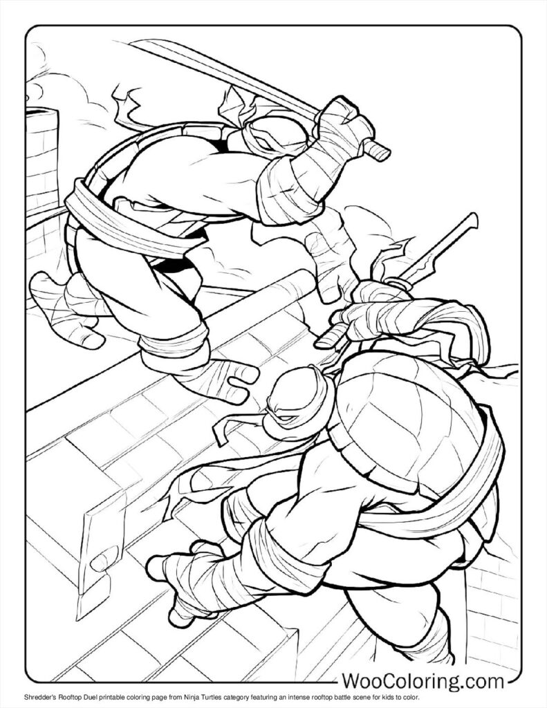 Shredder's Rooftop Duel