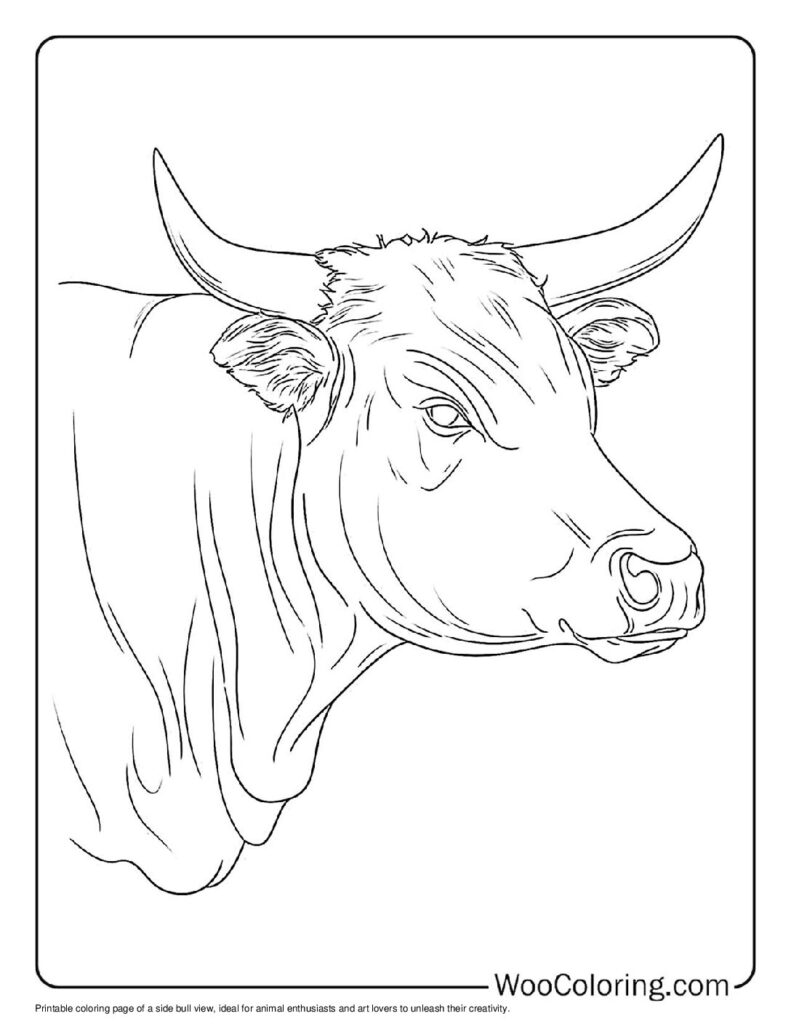 100  Bull coloring pages  Free PDF To Print  - 44