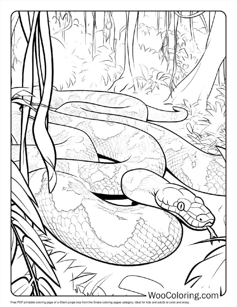 Silent jungle boa Coloring Sheet