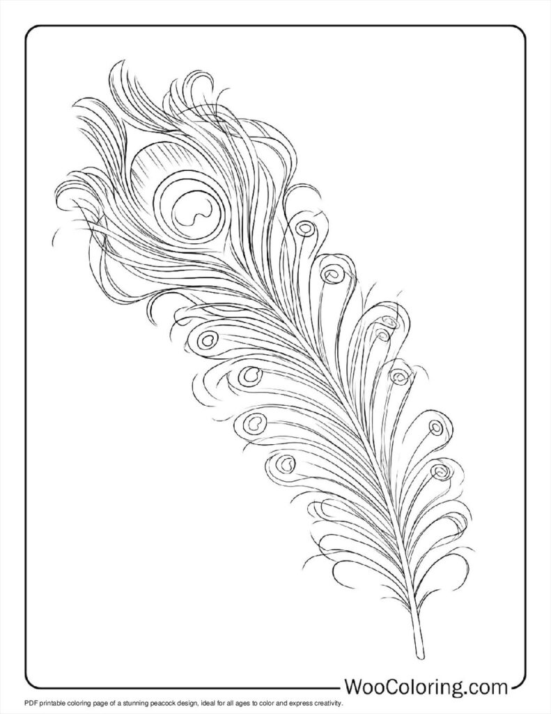 100  Peacock coloring pages  Free PDF To Print  - 37