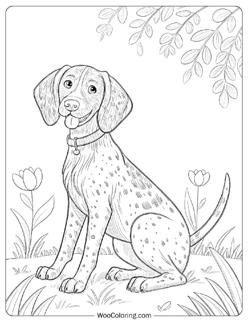 Simple Outline of a German Shorthaired Pointer with a Curious Gaze