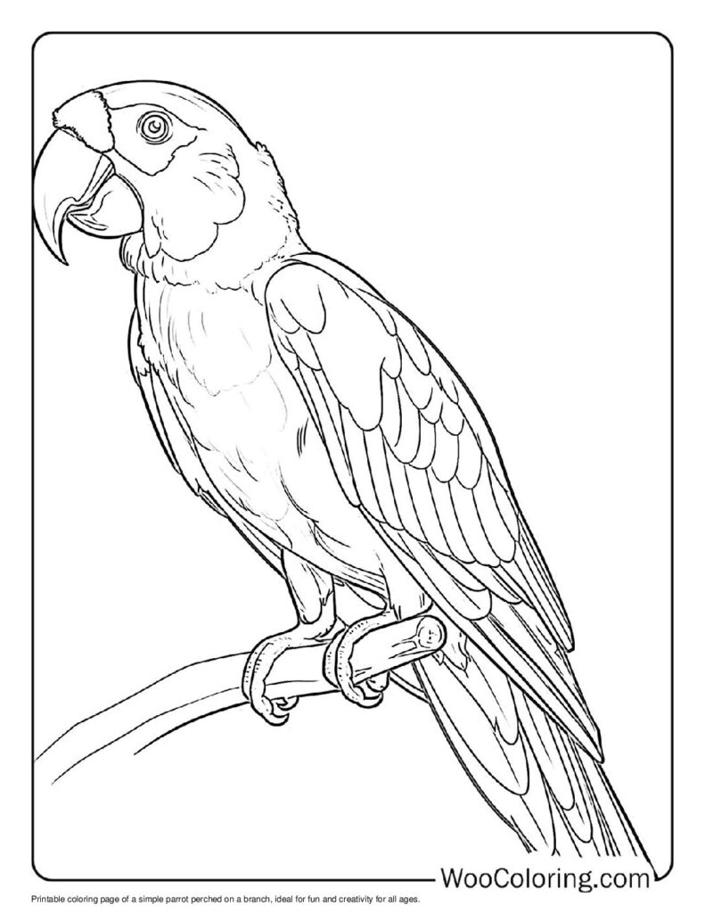 100  Parrot coloring pages  Free PDF To Print  - 24