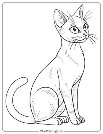 Simple Siamese Illustration Coloring Page