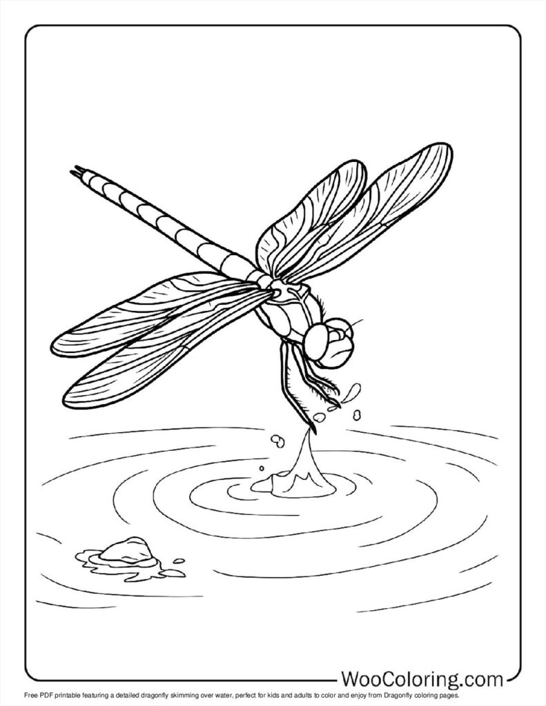 100  Dragonfly coloring pages  Free PDF To Print  - 10