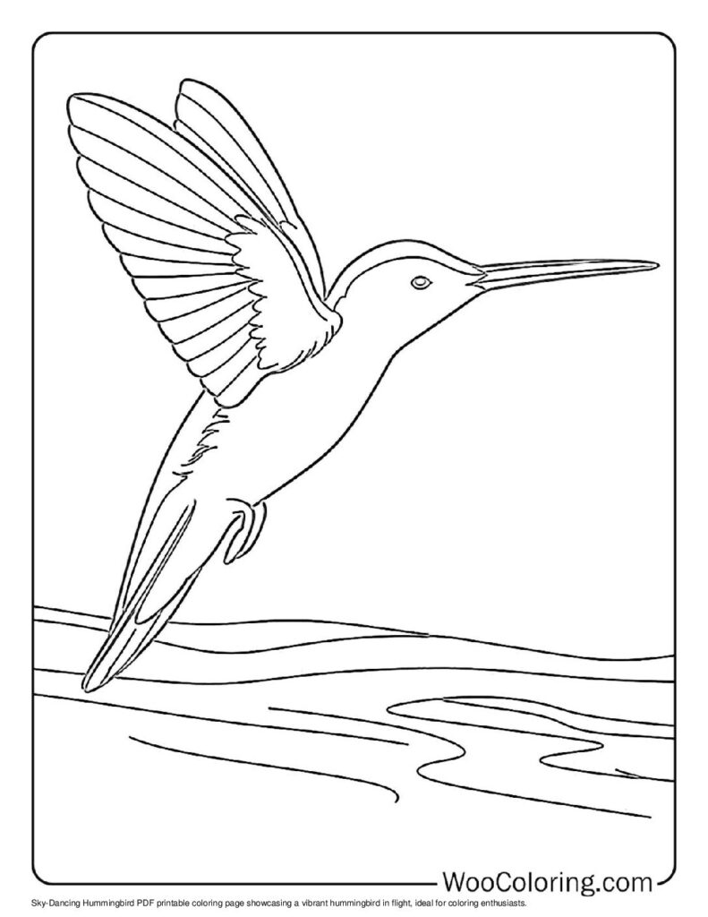 100 Hummingbird coloring pages Free PDF To Print - 59