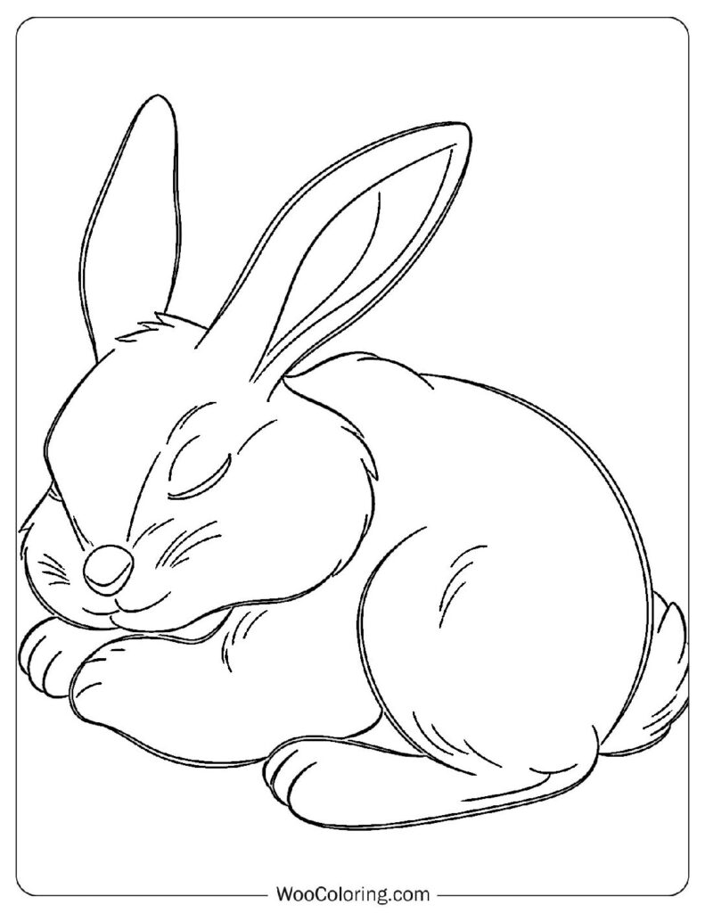 Sleeping Rabbit Bliss