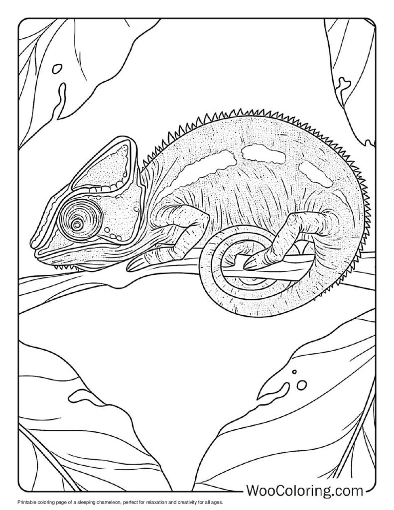 100  Chameleon coloring pages  Free PDF To Print  - 75