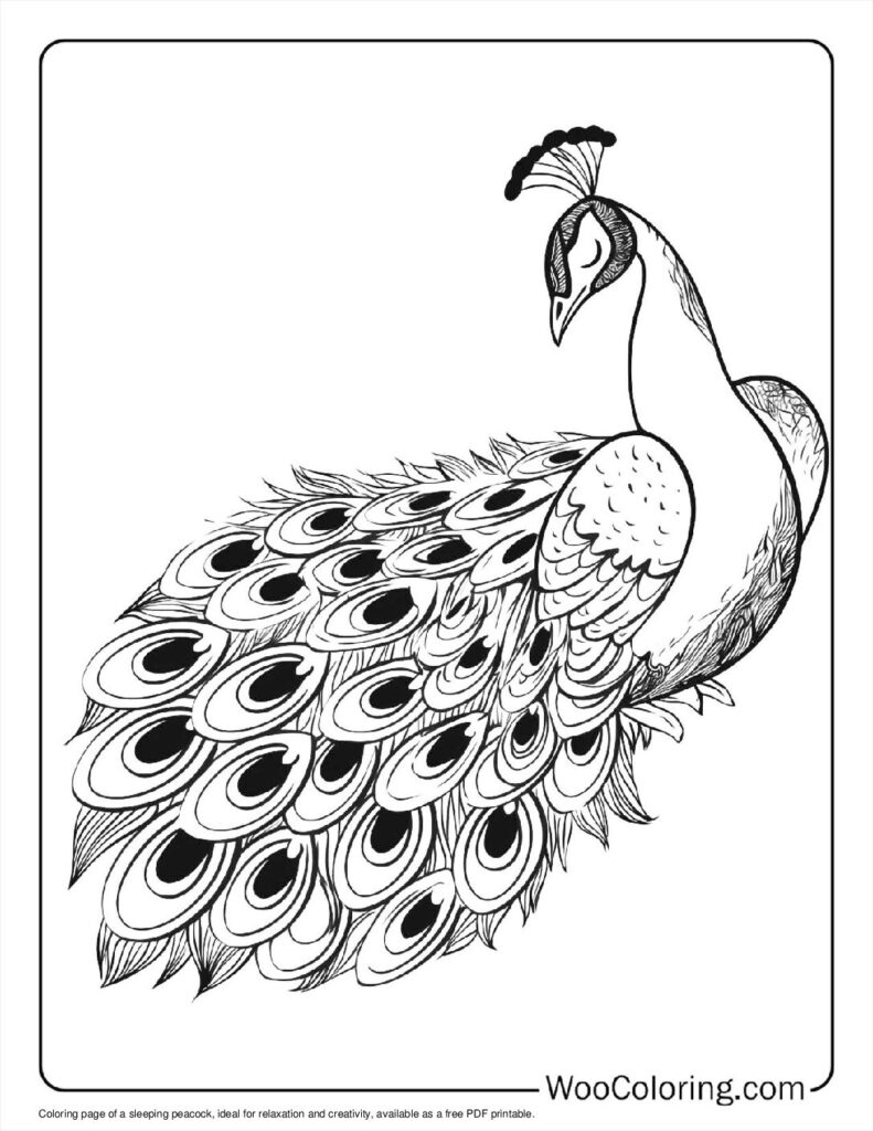 100  Peacock coloring pages  Free PDF To Print  - 31