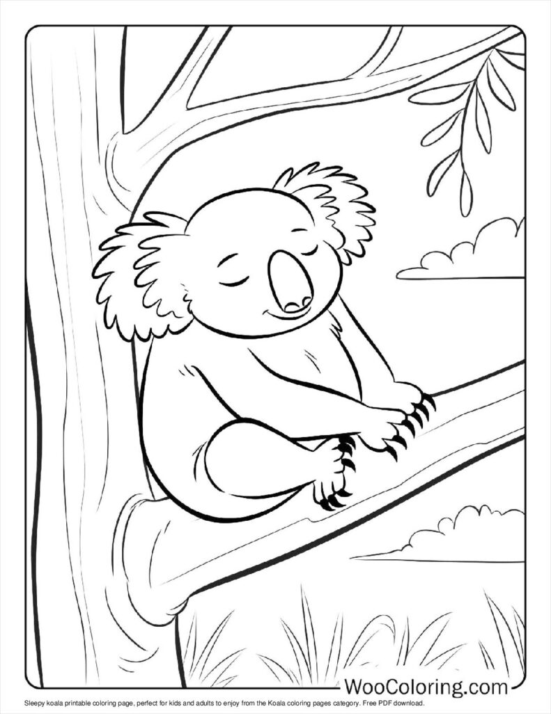 100  Koala coloring pages  Free PDF To Print  - 81