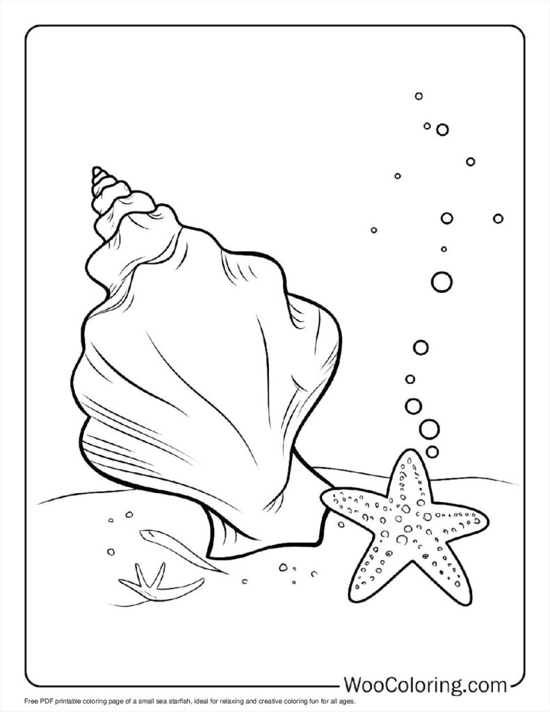 100  Starfish coloring pages  Free PDF To Print  - 18