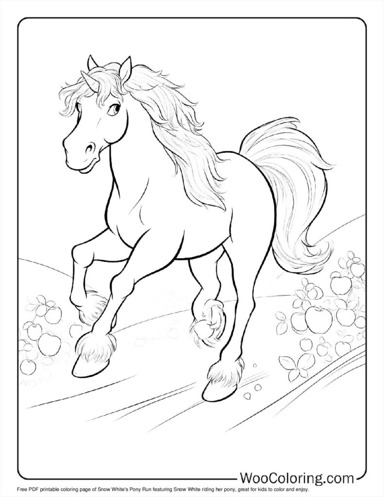Snow White's Pony Run