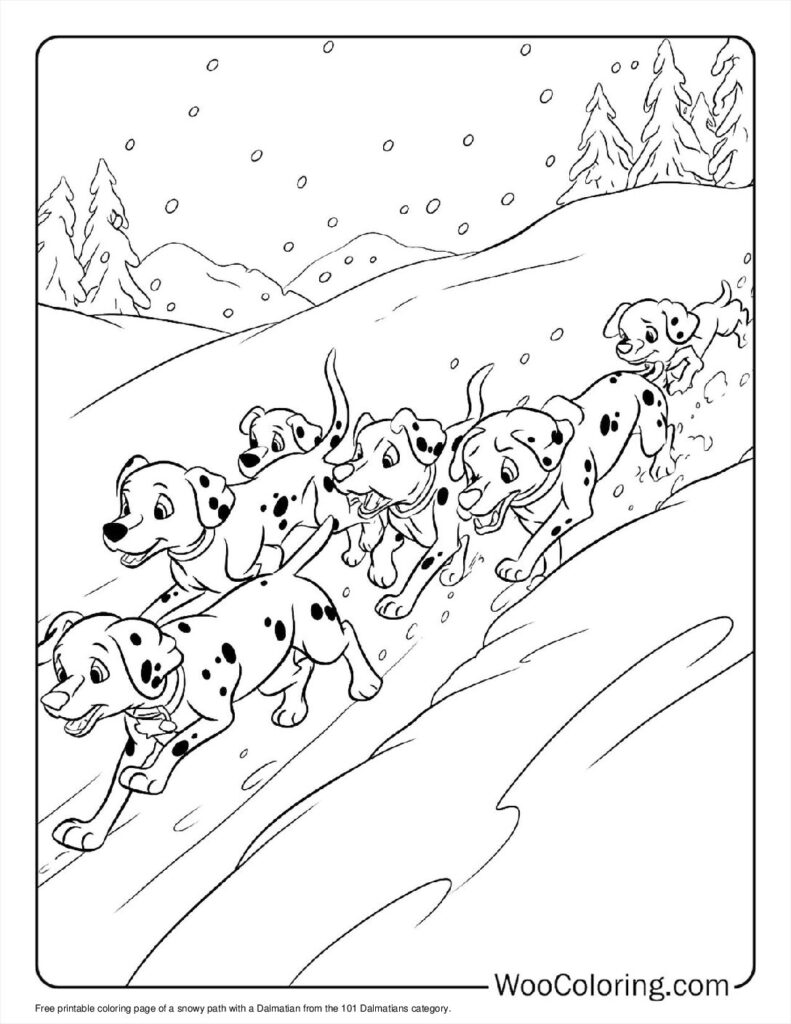Snowy Dalmatian Path
