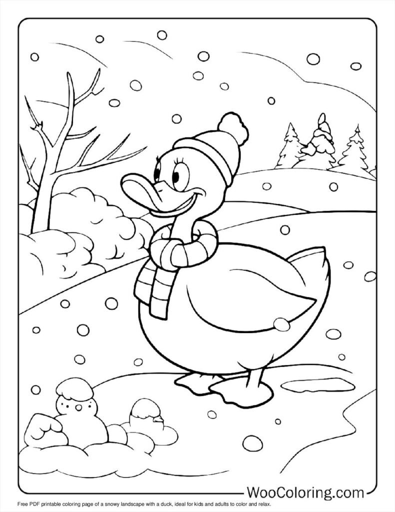 100  Duck coloring pages  Free PDF To Print  - 17