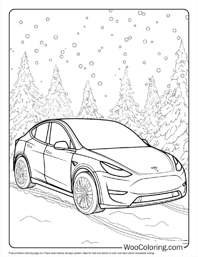 Snowy Road Model Y