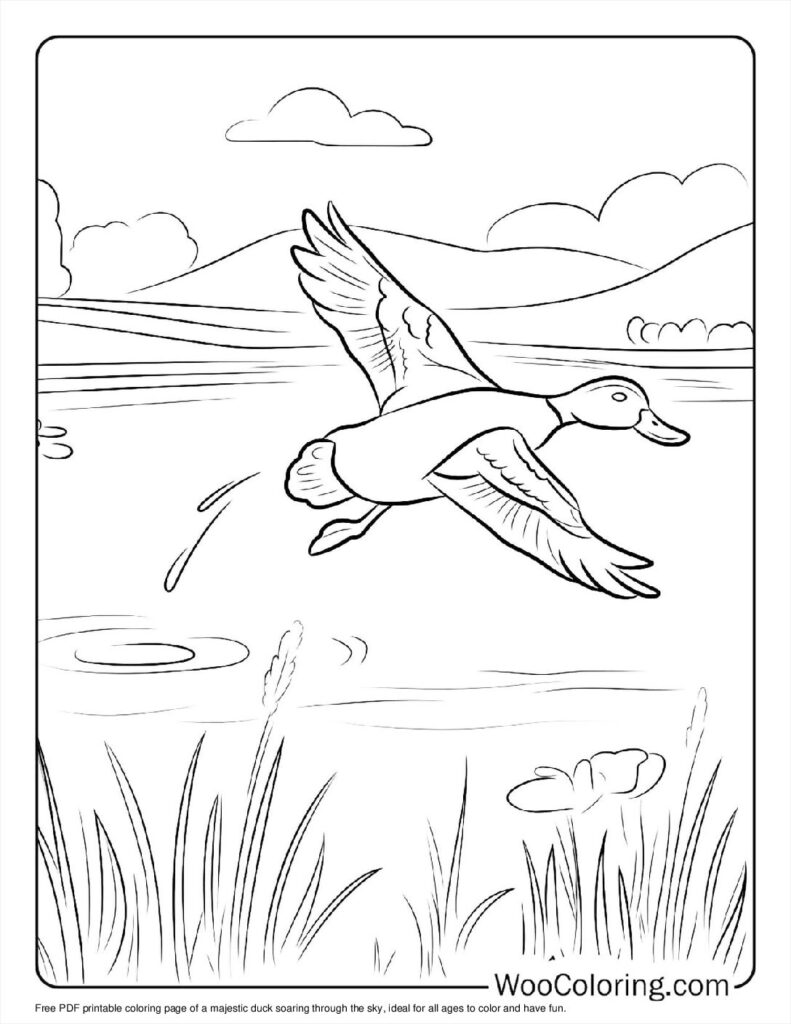 100  Duck coloring pages  Free PDF To Print  - 21