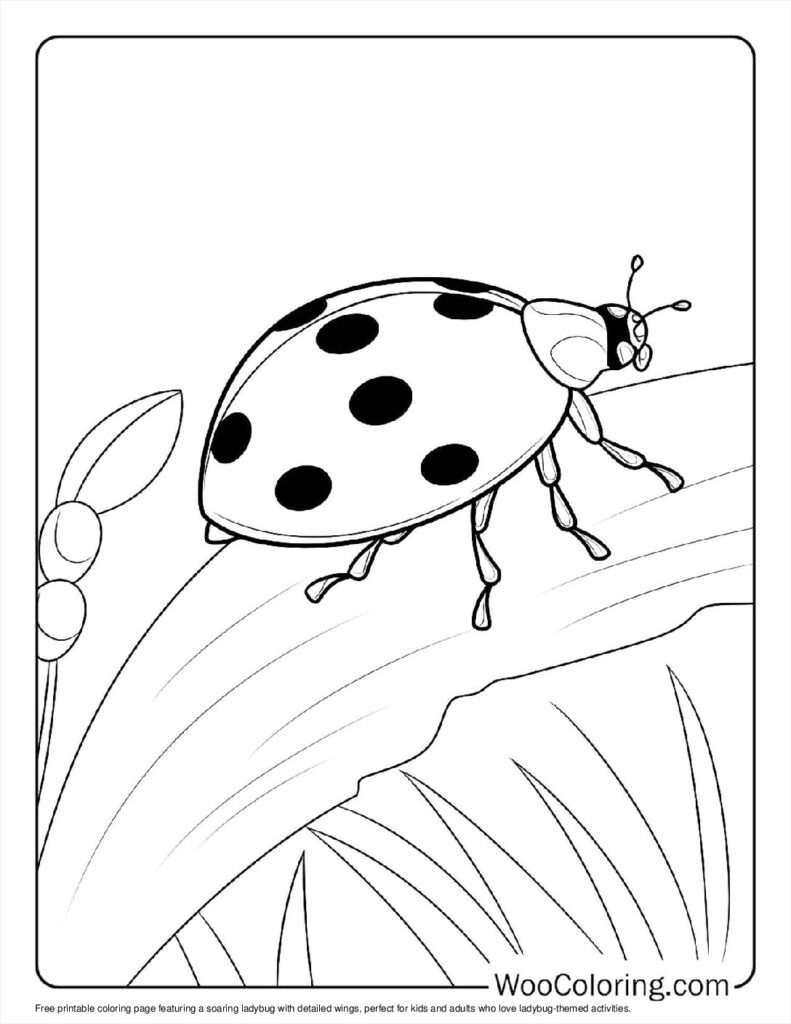 100  Ladybug coloring pages  Free PDF To Print  - 75