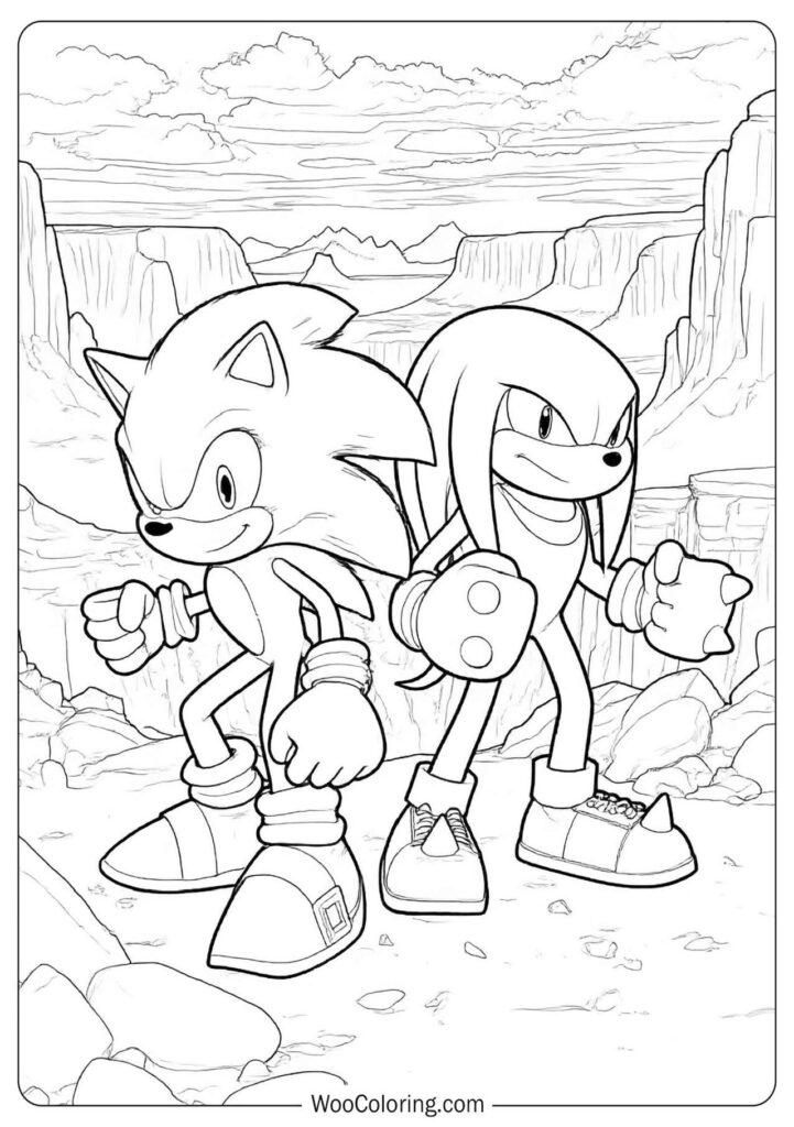 Sonic and Knuckles Team Up captured in a strong pose of unity and determination