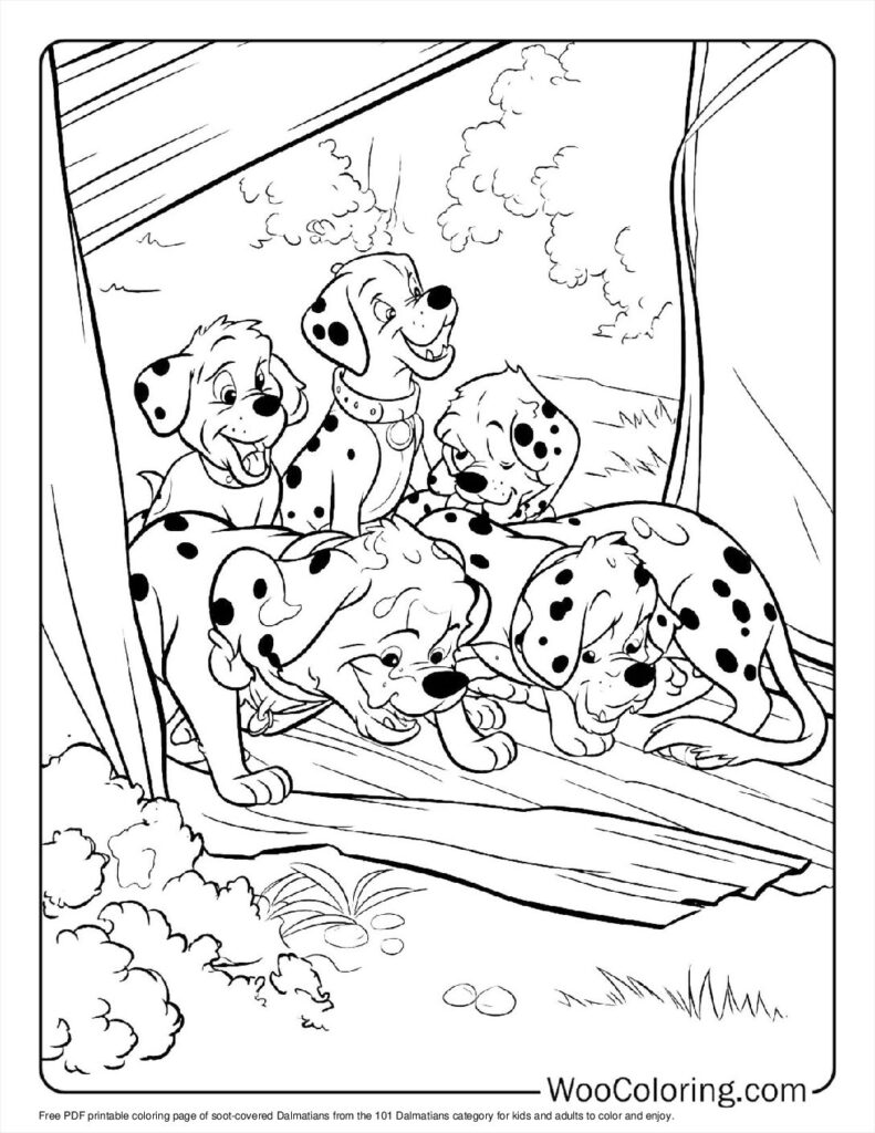 Soot-Covered Dalmatians
