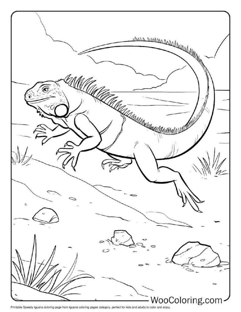 100 Iguana coloring pages Free PDF To Print - 57