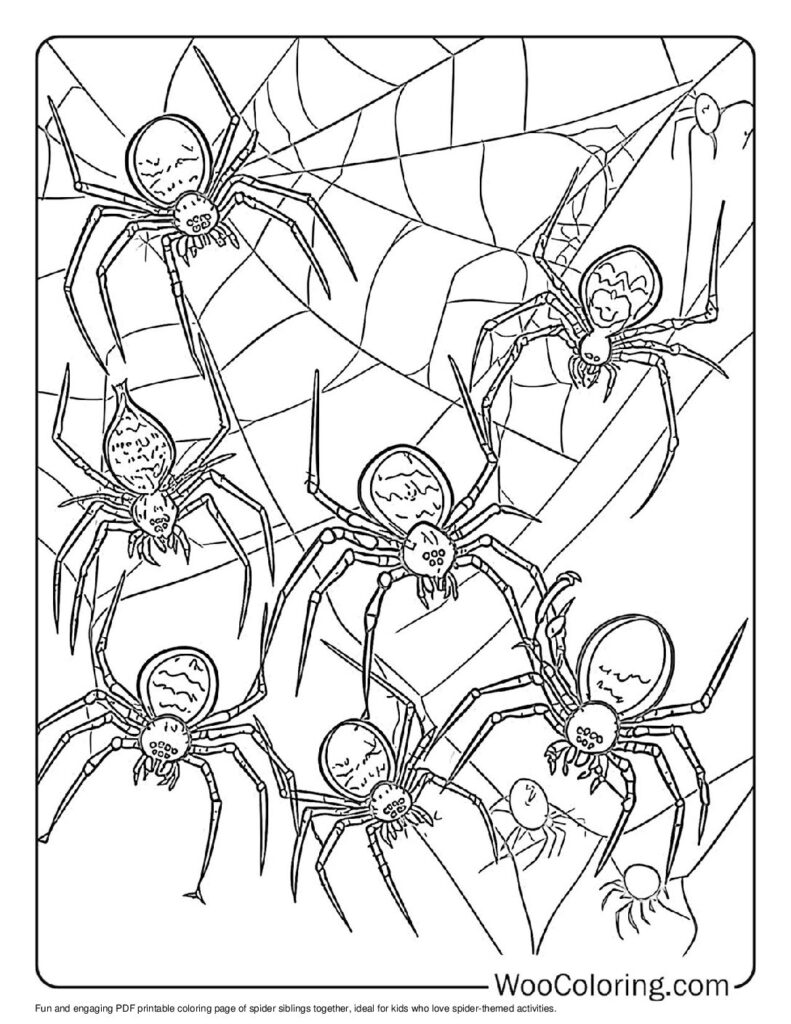 100  Spider coloring pages  Free PDF To Print  - 73