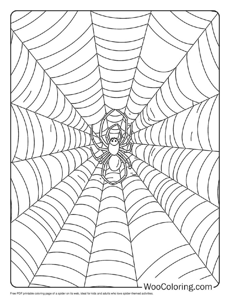 100  Spider coloring pages  Free PDF To Print  - 75