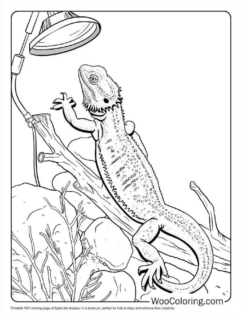 Spike in Terrarium