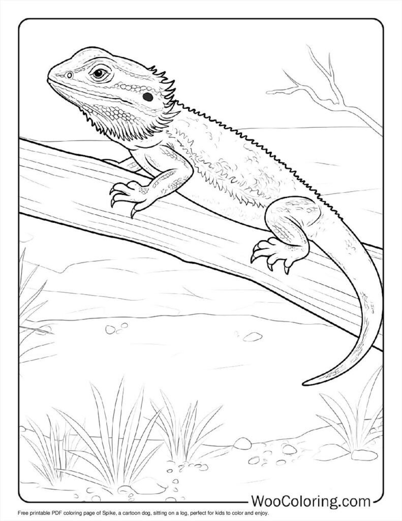Spike on a Log