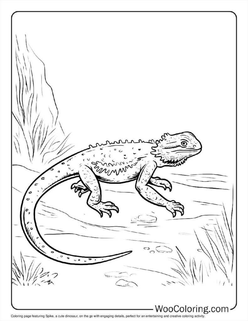 Spike on the Go