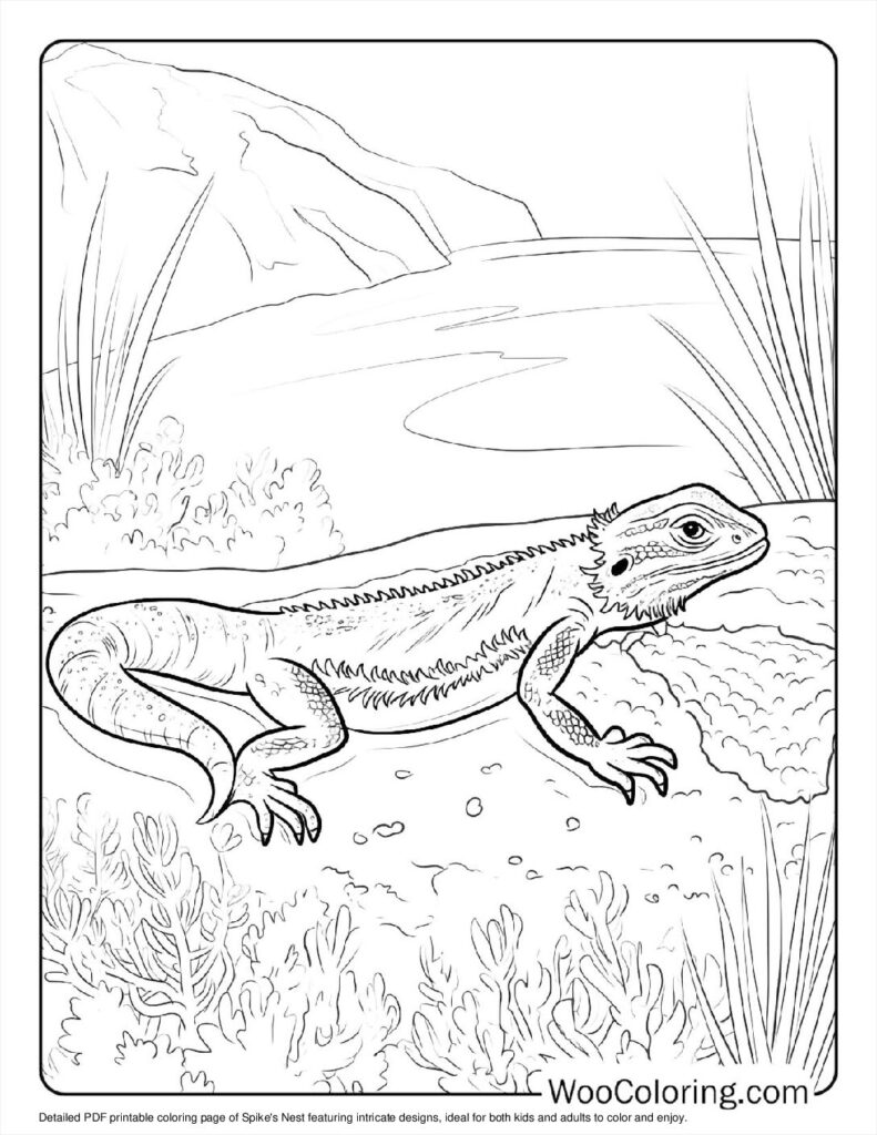 Spike's Nest Coloring In For Kids